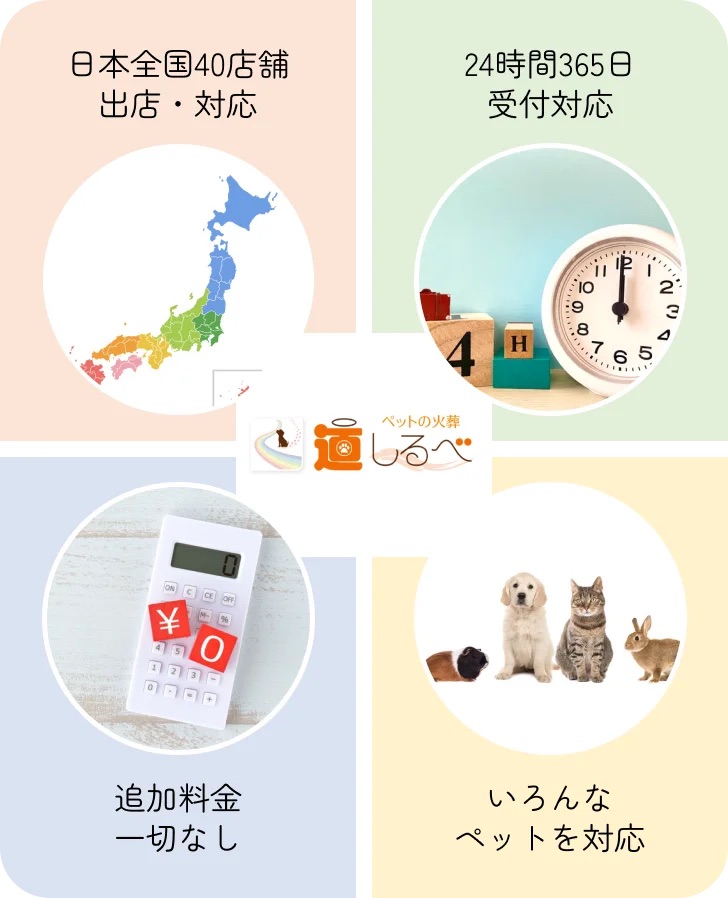 今すぐお問い合わせを